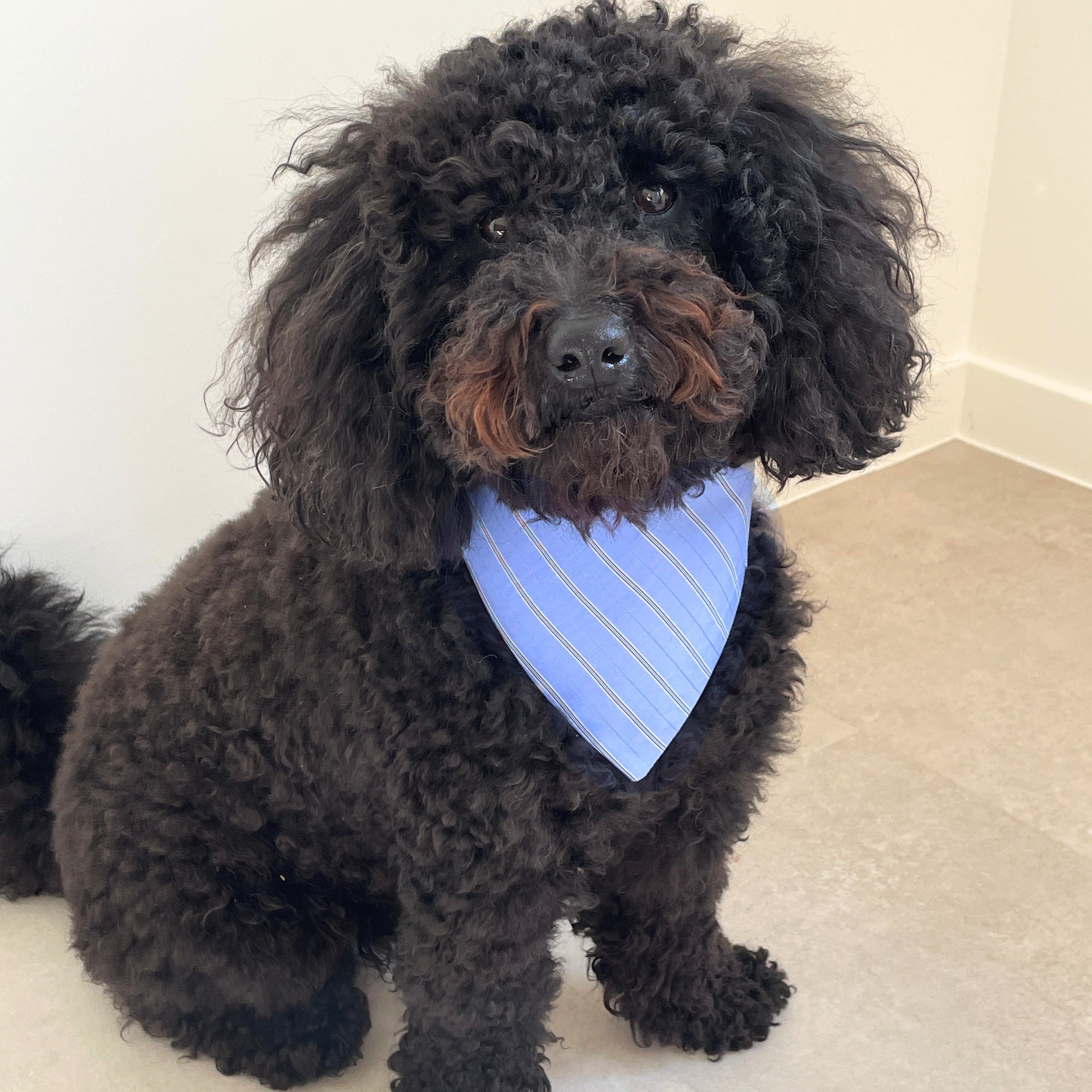 Bandana BLUE SKY