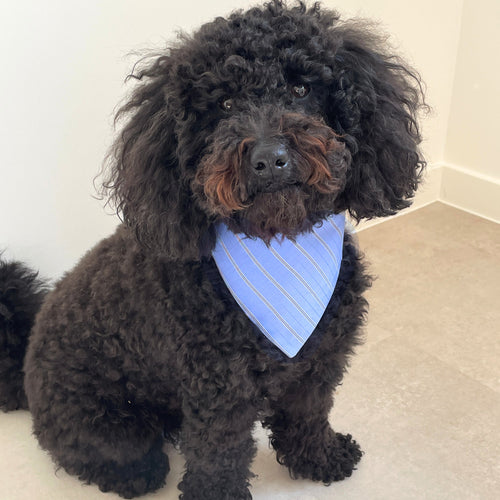 Bandana BLUE SKY