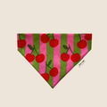 Bandana pour chien motif cerises sur rayures roses et vertes, accessoire fait main Toky & Sun à enfiler sur le collier