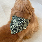 Chien portant un bandana léopard vert en gaze de coton vu de dos, accessoire pour chien Toky and Sun, modèle Green Léo