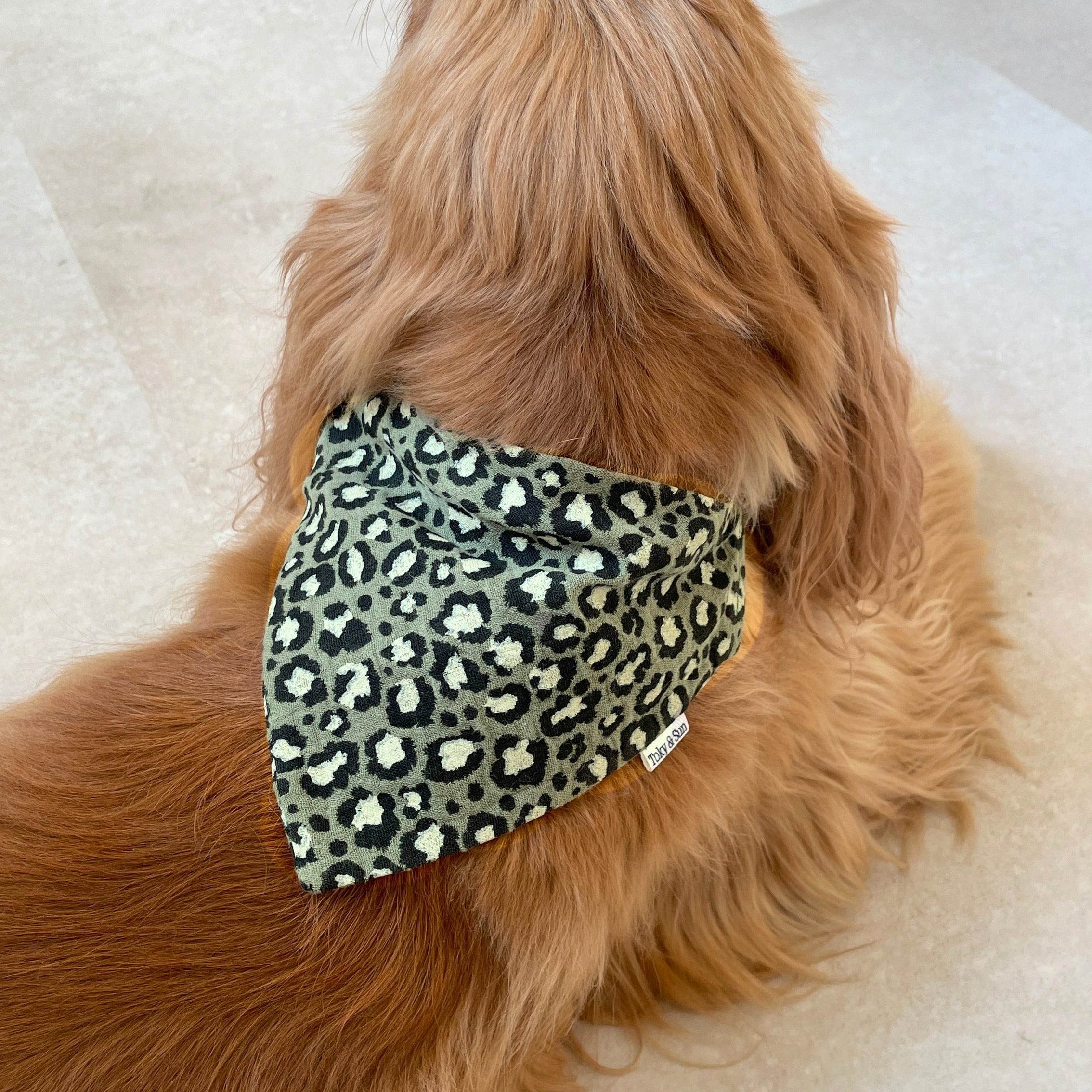 Chien portant un bandana léopard vert en gaze de coton vu de dos, accessoire pour chien Toky and Sun, modèle Green Léo