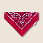 Bandana pour chien rouge style bandana western, accessoire pour chien Toky and Sun