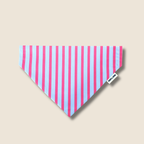 Bandana pour chien à rayures roses et bleu ciel, accessoire tendance Toky and Sun