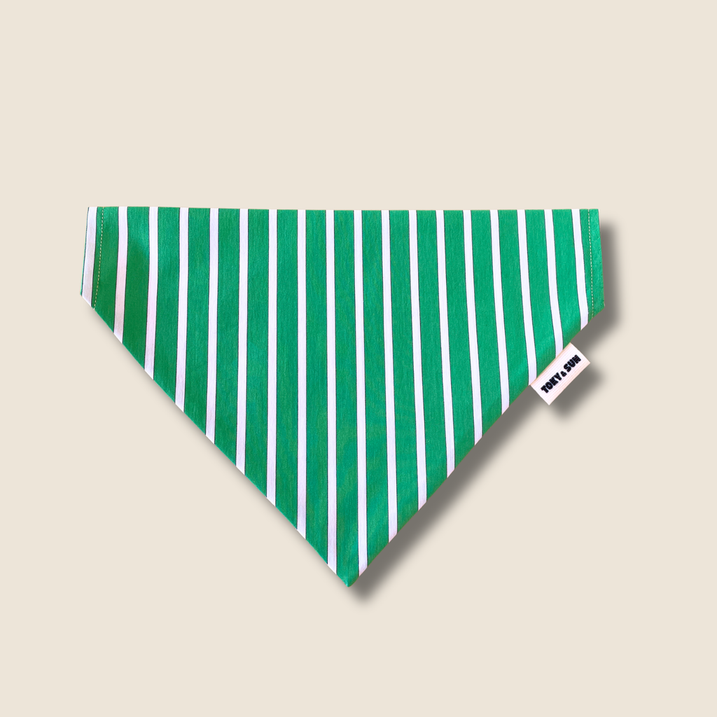 Bandana pour chien vert à rayures blanches, modèle Green Summer de Toky and Sun
