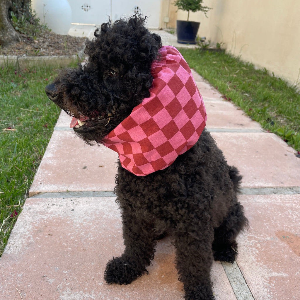 Snood fait main pour chien à motif damier rose protégeant les oreilles longues des épillets, des otites, de la salissure. Marque TOKY AND SUN