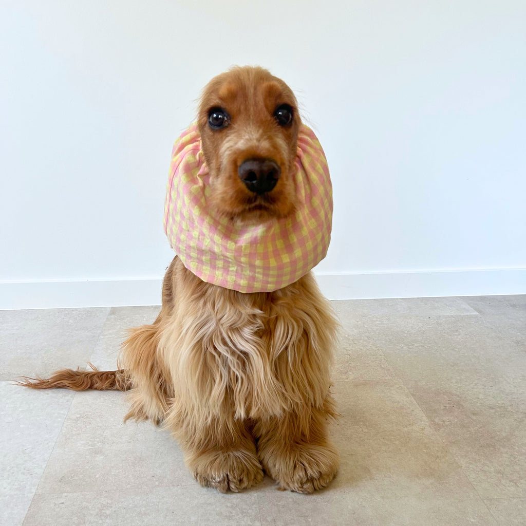 Cocker anglais assis portant le snood Yellow Vichy rose et jaune, un accessoire confortable qui protège les oreilles pendant les repas et les promenades.