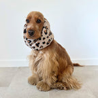 Cocker anglais portant le snood Olé Léo à motif léopard, un accessoire confortable qui protège les oreilles pendant les repas et les promenades. Marque TOKY AND SUN.
