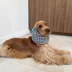 Cocker anglais allongé portant le snood Vichy Noir et Blanc Toky & Sun, un accessoire pensé pour maintenir les longues oreilles propres pendant les repas, les protéger de la saleté pendant les balades.