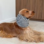 Vue de profil d'un cocker anglais équipé du snood Vichy Noir et Blanc, conçu pour limiter les salissures lors des repas et des promenades.