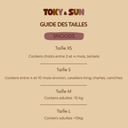 Guide des tailles des snoods Toky & Sun pour chiens. Taille XS pour Teckel et chiot Cocker de 2 à 4 mois, taille S pour Cocker de 4 à 10 mois, Cavalier King Charles et Caniche, taille M pour Cocker adulte jusqu'à 15 kg et taille L pour Cocker adulte de plus de 15 kg.