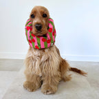 Cocker anglais portant un snood coloré Cherry Cherry, idéal pour garder les oreilles propres pendant les repas tout en ajoutant une touche originale. TOKY AND SUN.