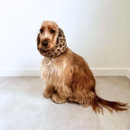 Snood motif léopard pour chien porté par un cocker aux longues oreilles TOKY AND SUN