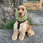 Cocker anglais portant un snood vert à motif damier en gaze de coton, accessoire protégeant les oreilles du chien en extérieur Toky and Sun