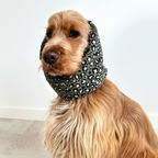 Cocker anglais portant un snood motif léopard vert conçu pour protéger ses longues oreilles, marque Toky and Sun.