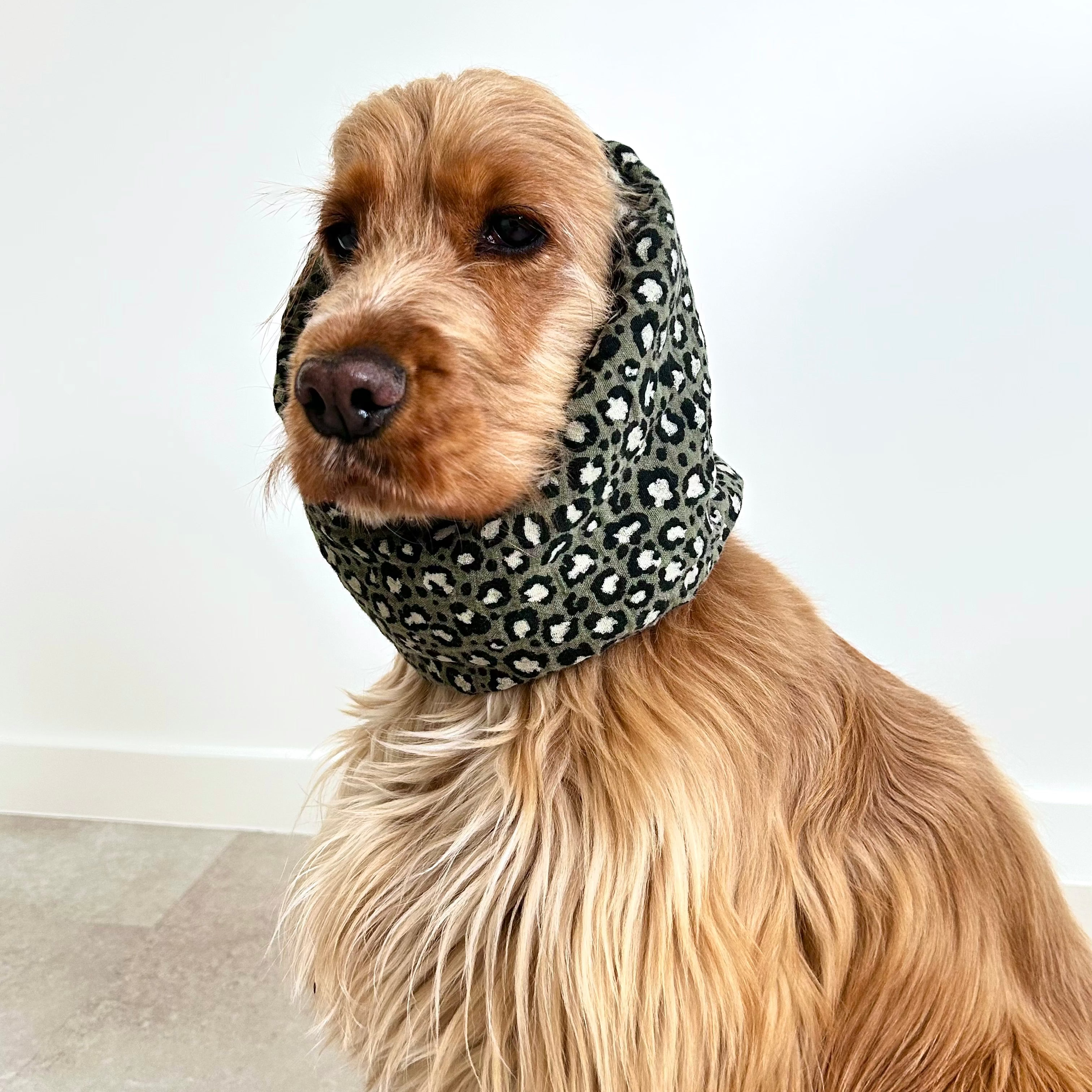 Cocker anglais portant un snood motif léopard vert conçu pour protéger ses longues oreilles, marque Toky and Sun.